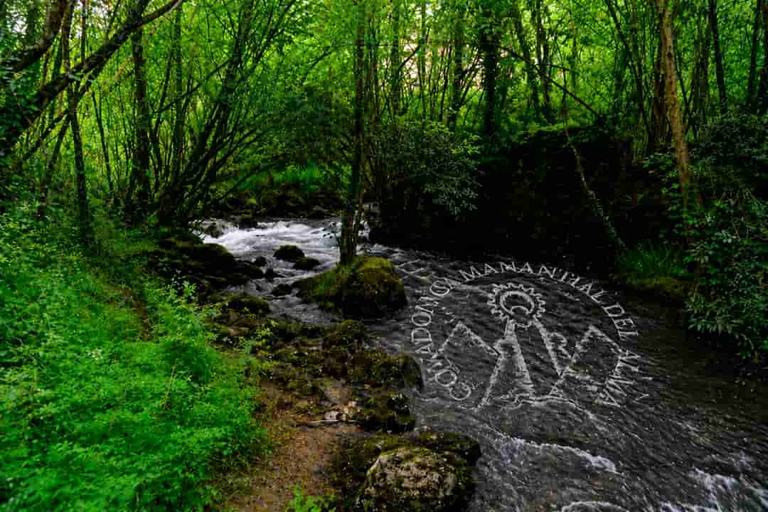 entorno del santuario rio covadonga parque del principe